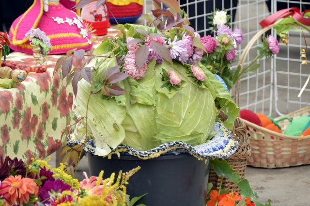 В Зубцовском районе чествовали «Барыню Капусту» 30.09.2017-7