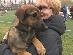 Акция "Айболит-2015