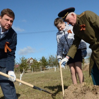Яблоневые «Сады Великой Победы» заложены в Тверской области