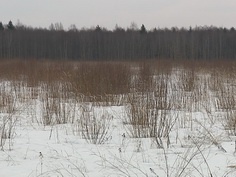 Кимры против появления новой свалки