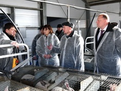 Парламентские дни:первые итоги