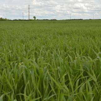 Старицкий район: благоприятный климат для всех