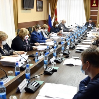 Комитеты готовятся к пленарному заседанию