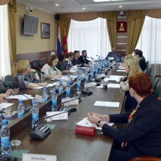 Комитет по социальной политике рассмотрел доклад о деятельности детского омбудсмена за 2021 год