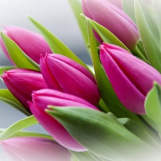 8 марта – Международный женский день