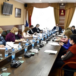 Состоялось очередное заседание комитета по социальной политике