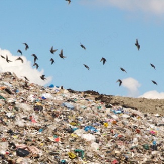 Муниципалитеты получат средства на уборку отходов